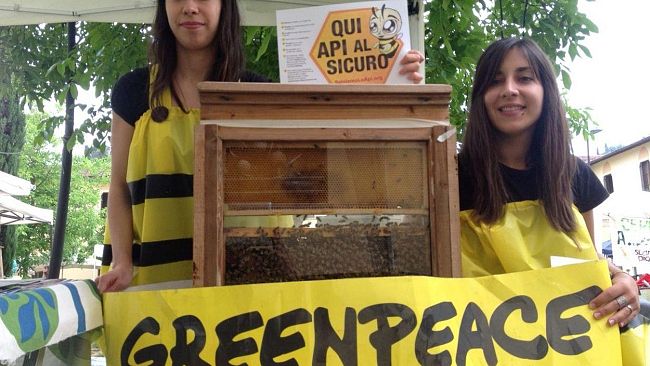 Api in declino: manifestazione alla Festa dei Fiori di Vergaio