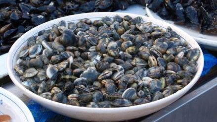 Sull’uscio di cucina: Lasagne di…mare!