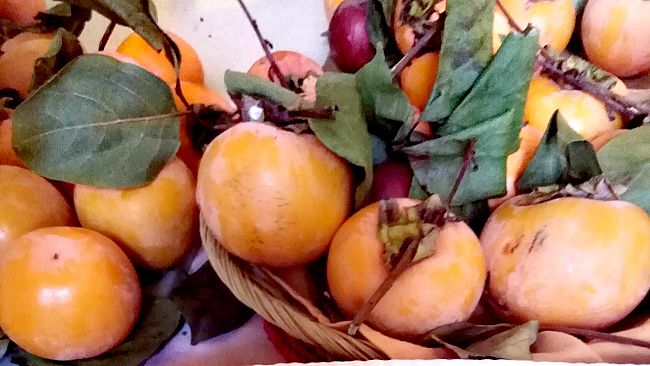 cachi-o-diosperi-come-farli-maturare-meglio