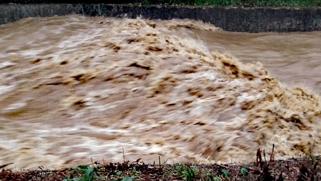 Pioggia, nuovo codice giallo a Firenze: occhio ai torrenti
