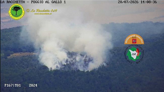 Incendio boschivo oggi a Sovicille