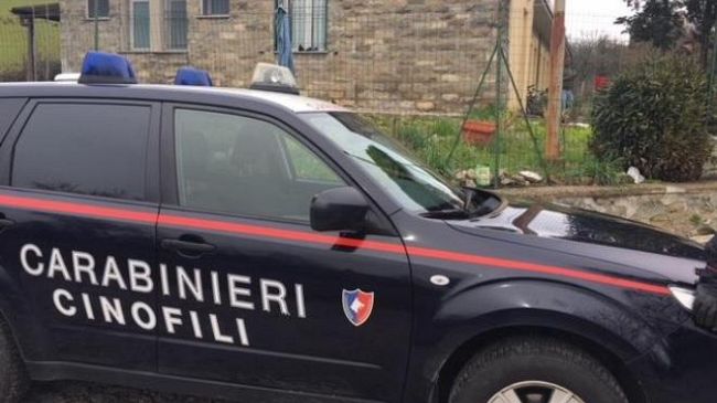 Cocaina: banda criminale in Toscana dedita allo spaccio tra Firenze, Pisa, Lucca e la Versilia