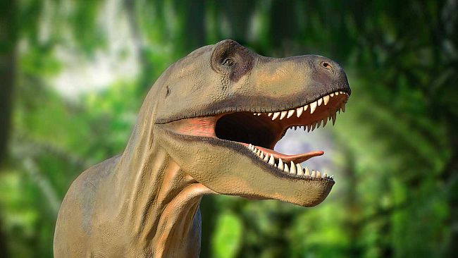 A Vicchio un'estate nella Preistoria