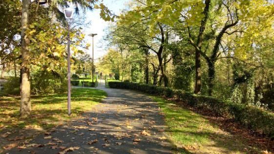 Sicurezza a Firenze: sentinelle di Quartiere in giardini e piazze