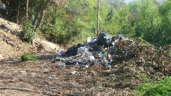 Questua molesta: multate e denunciate quattro persone