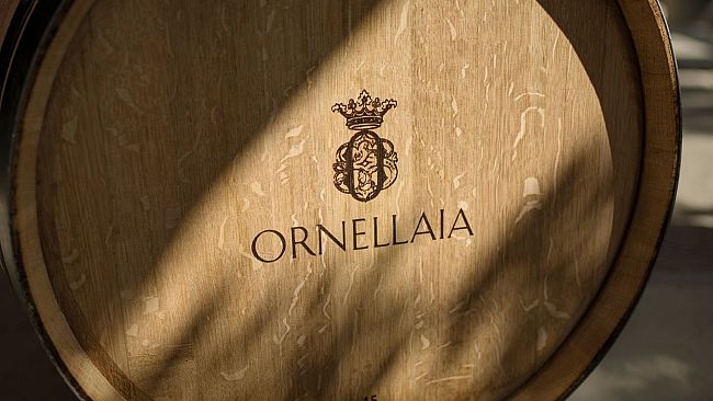 La raccolta delle uve è incominciata