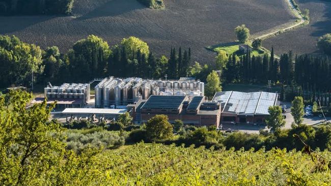 Vino: Colli Fiorentini registra nel 2020 più 9% di uva e 22 nuovi soci
