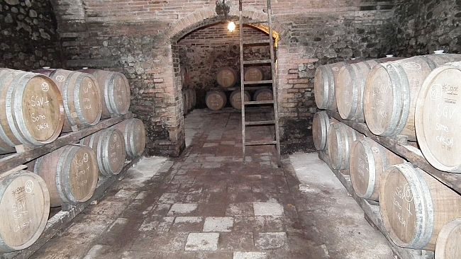 Alla scoperta dei vini della Fattoria Poggio Capponi