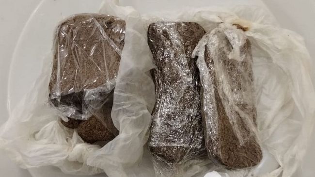 Hashish nelle fioriere davanti alla Fortezza da Basso