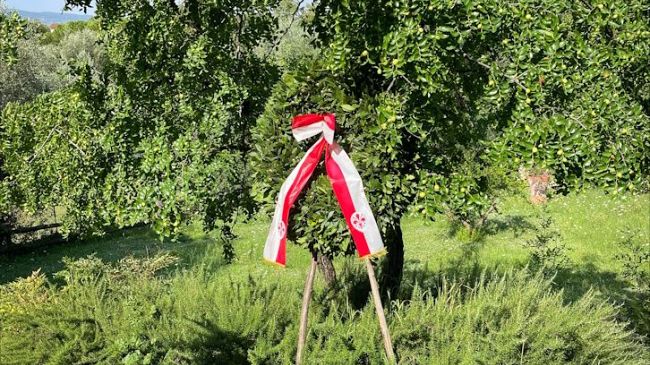 Oggi la commemorazione dei Porrajmos