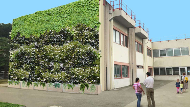 ‘Pareti verdi’, interventi pilota in cinque scuole fiorentine