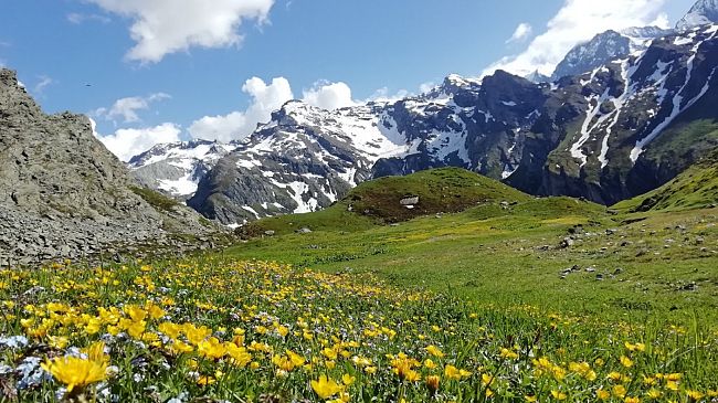 ripristino-della-natura-summit-di-alto-livello-ai-georgofili
