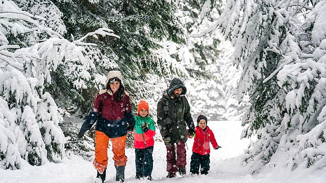 Tanta neve sulle Dolomiti a gennaio 2021