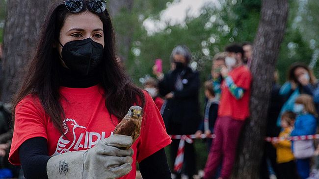Livorno: lo spettacolo della liberazione dei rapaci