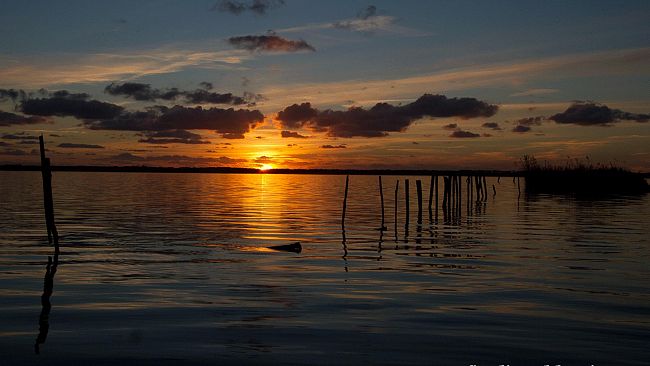 Le notti d'estate dedicate alle stelle cadenti