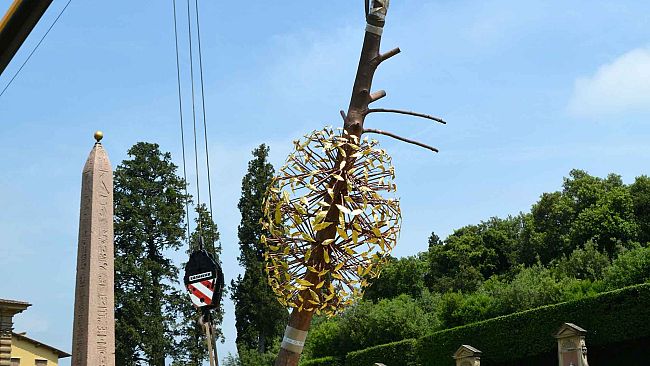 Firenze: all'Anfiteatro del Giardino di Boboli messa in posa l'opera Luce e Ombra di Giuseppe Penone