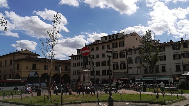 Alberi tagliati a Firenze: polemica con lettera al sindaco  