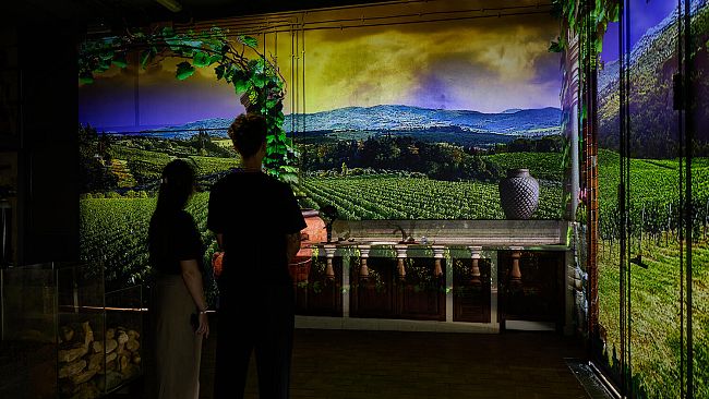 Cantina didattica: nasce la prima Immersive Winery