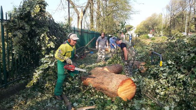 Nubifragio: domani l’iniziativa di pulizia collettiva ‘Firenze siamo noi’