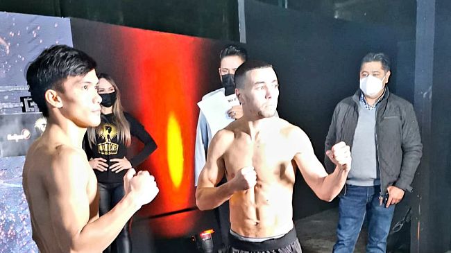 ObbadiVSBornea: Dove vedere il match, orari ed altro 