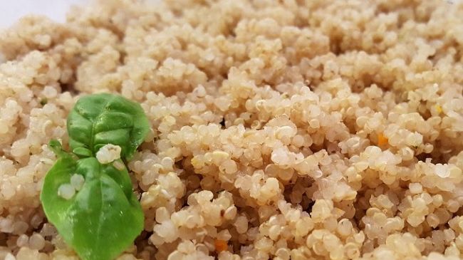 La quinoa 'Quipu': un’opportunità per gli agricoltori