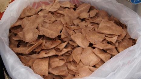 Aprirà sabato Scandicci Fiera 2010