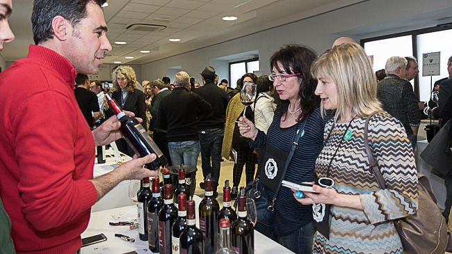 Il vino toscano si presenta al mondo con Sting come testimonial