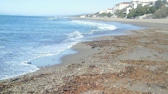 Chiusa la pesca alle telline, multe salatissime ai trasgressori