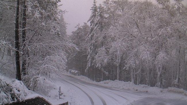 Neve in Toscana, disagi in Mugello: blackout, alberi caduti, strade chiuse