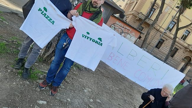 A Piazza della Vittoria 68 nuovi pini