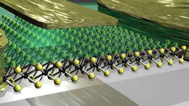 A 200 giorni dall'Expo la Toscana presenta le migliori “idee innovative” e “buone pratiche”