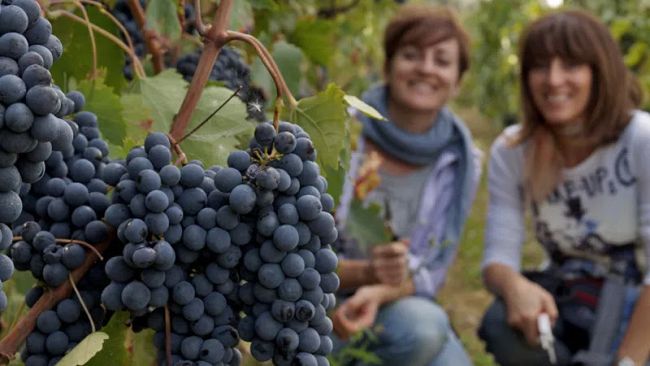 Un viaggio nei tesori del Chianti Classico d'altura