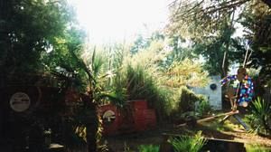 Il pittore e scultore Italo Bolano alla Biennale di Firenze