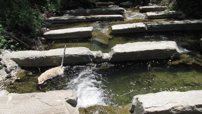 In Arno i Campionati mondiali di Pesca Sportiva