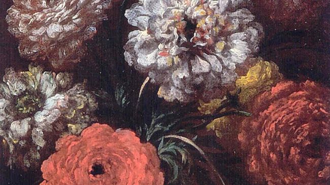 Nuovo arrivo al Museo della Natura Morta