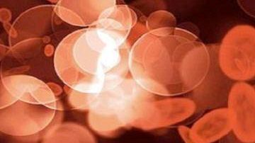 A una ricercatrice di Virgo il premio l’Oreal-Unesco