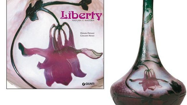 Domani Liberty, Natura e Materia
