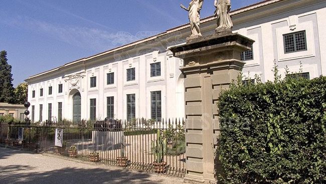 Asta di solidarietà per l'Ant