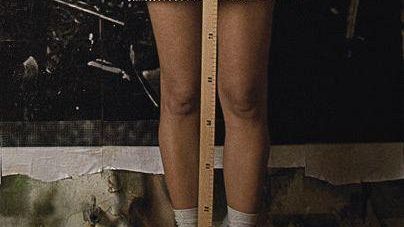 Immagine Italia & Co: il raccoglitore dei sogni