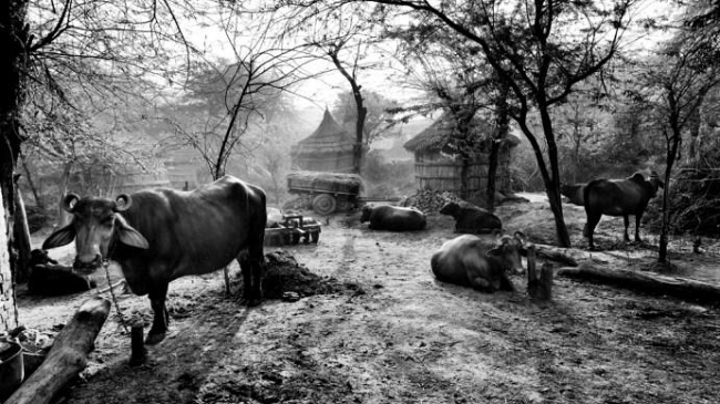 San Giovanni Valdarno: dall'11 al 19 luglio Appunti di Viaggio in India