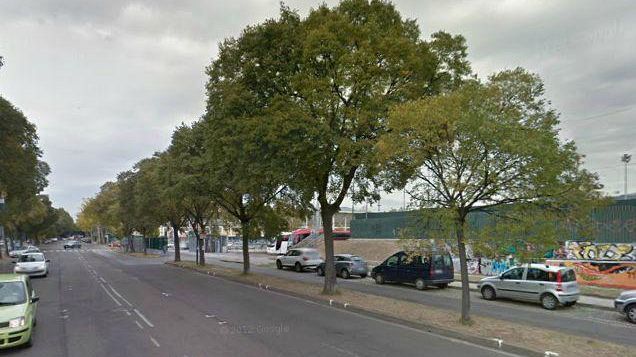 Fiorentina contro Atalanta ed Udinese in contemporanea Ginnastica e Renato Zero