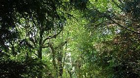 Nasce l'Agenda informatizzata “Terre di Lucca e di Versilia”