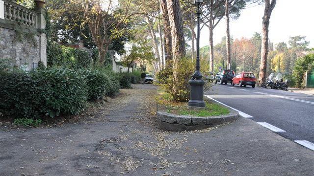 Imminente l'abbattimento di circa 60 pini del Viale Torricelli?