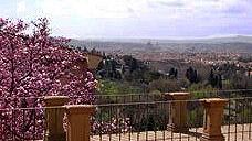 London School of Economic: una ricerca evidenzia criticità e punti di forza del territorio fiorentino