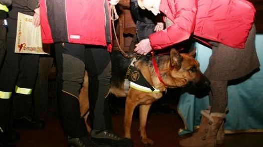 Una medaglia per Kira e il Nucleo Cinofili dei Vigili del Fuoco