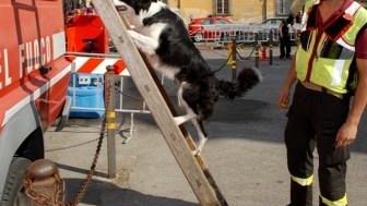 Pisa: concluse le giornate della Protezione Civile