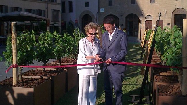 Matteo Renzi apre con Frescobaldi il vigneto in piazza della Signoria (Foto)