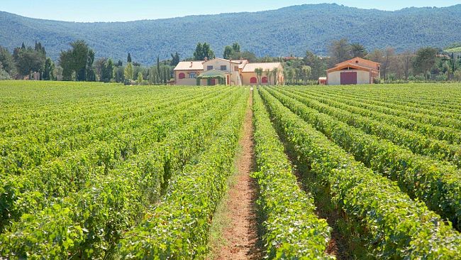 La vincitrice di Masterchef con l'azienda di Bolgheri al Vinitaly