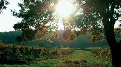 Al via l'evento internazionale “Vignaioli & vignerons”