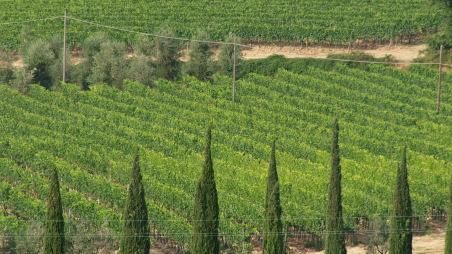 Pit, Giunta regionale incontrerà il mondo agricolo